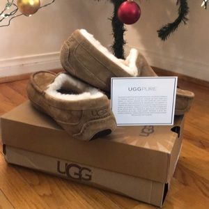 Slippers beige authentic uggs men